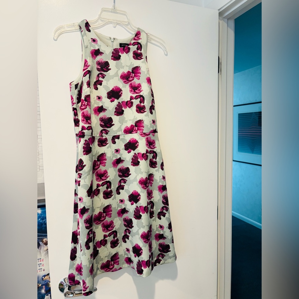 Banana Republic Pink and White Floral Dress